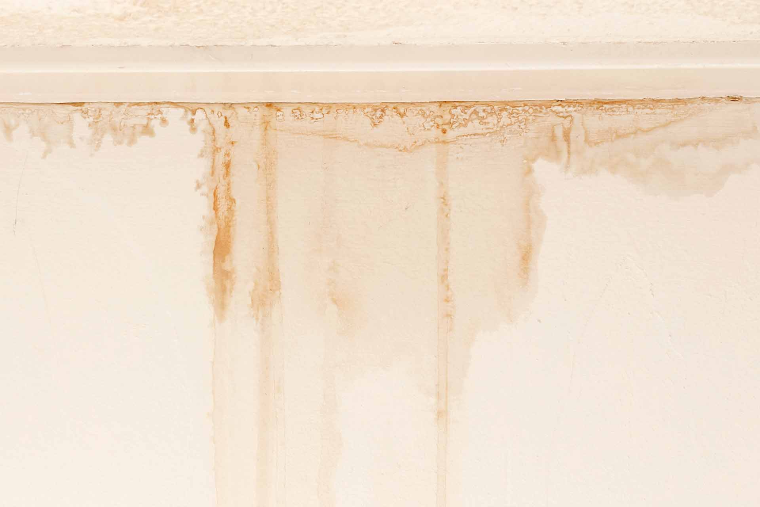 stain drywall