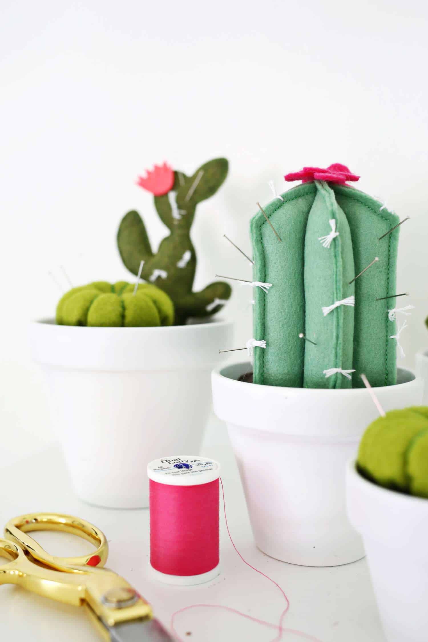 cactus-pin-cushion